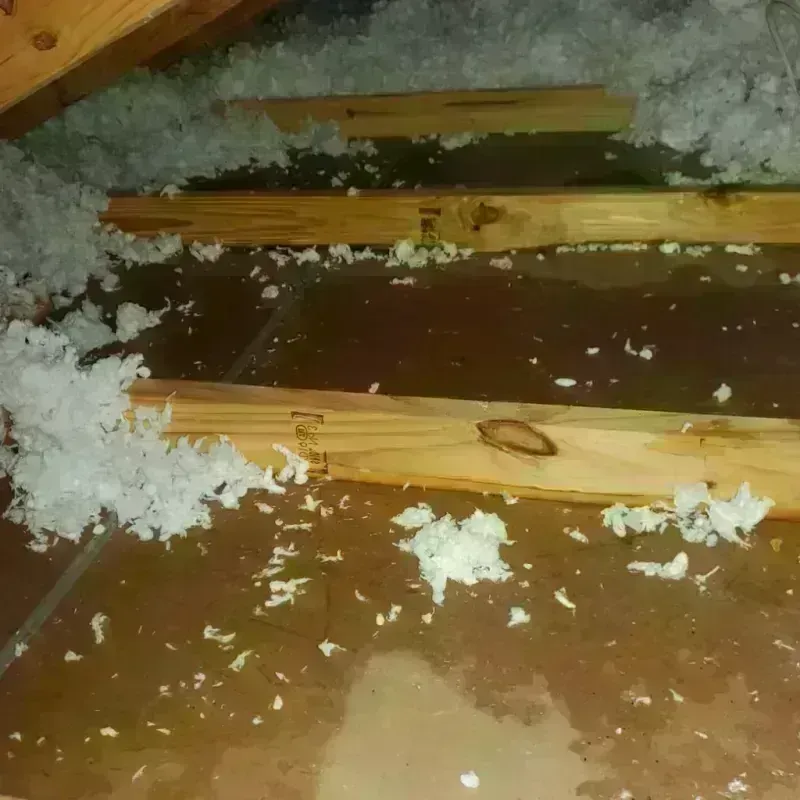 Attic Water Damage in Purcellville, VA